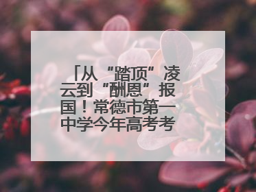 从“踏顶”凌云到“酬恩”报国！常德市第一中学今年高考考点对联出炉