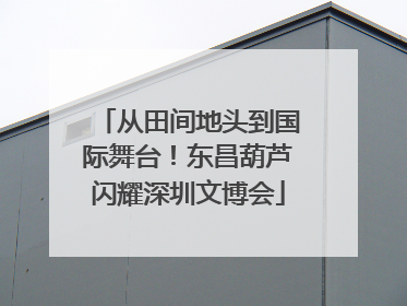 从田间地头到国际舞台！东昌葫芦闪耀深圳文博会
