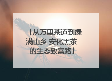 从万里茶道到绿满山乡 安化黑茶的生态致富路