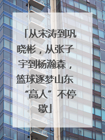 从宋涛到巩晓彬，从张子宇到杨瀚森，篮球逐梦山东“高人”不停歇