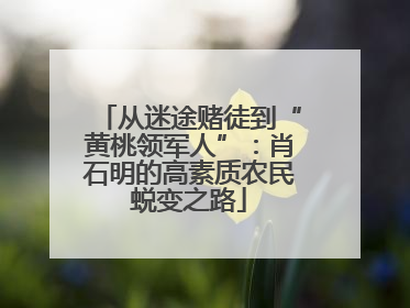 从迷途赌徒到“黄桃领军人”：肖石明的高素质农民蜕变之路
