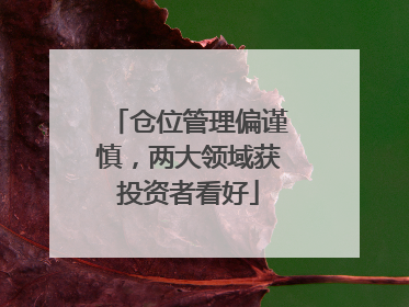 仓位管理偏谨慎，两大领域获投资者看好