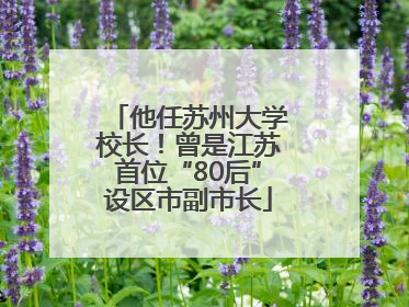 他任苏州大学校长！曾是江苏首位“80后”设区市副市长