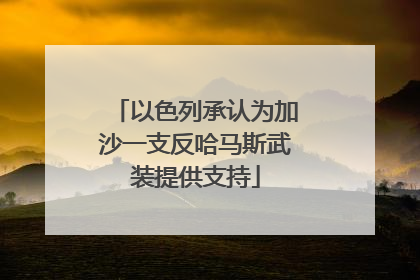 以色列承认为加沙一支反哈马斯武装提供支持