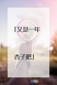 又是一年杏子肥