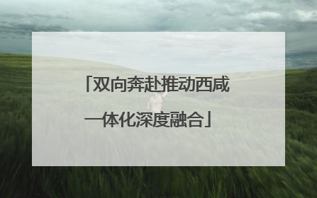 双向奔赴推动西咸一体化深度融合