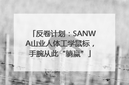反卷计划：SANWA山业人体工学鼠标，手腕从此“躺赢”