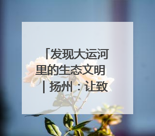 发现大运河里的生态文明｜扬州：让致富河流淌出好生态