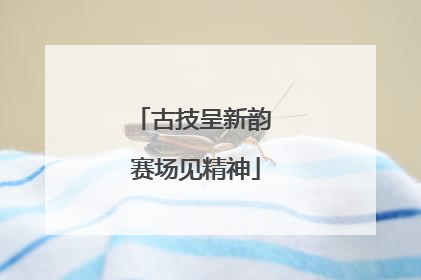 古技呈新韵 赛场见精神