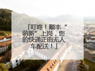 叮咚！顺丰“萌新”上岗，您的快递正由无人车配送！
