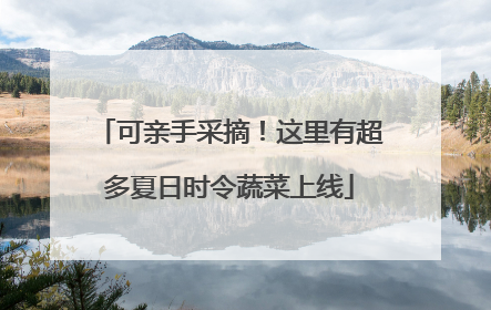可亲手采摘！这里有超多夏日时令蔬菜上线