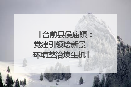 台前县侯庙镇：党建引领绘新景 环境整治焕生机