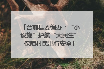 台前县委编办：“小设施”护航“大民生” 保障村民出行安全