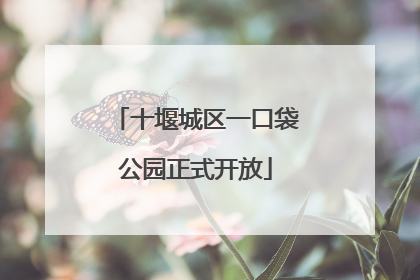 十堰城区一口袋公园正式开放