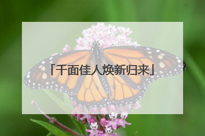 千面佳人焕新归来