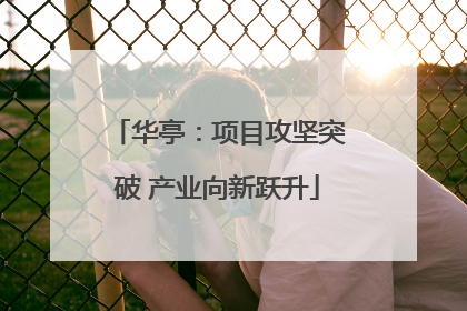 华亭：项目攻坚突破 产业向新跃升