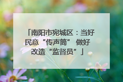 南阳市宛城区：当好民意“传声筒” 做好改造“监督员”