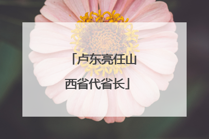 卢东亮任山西省代省长