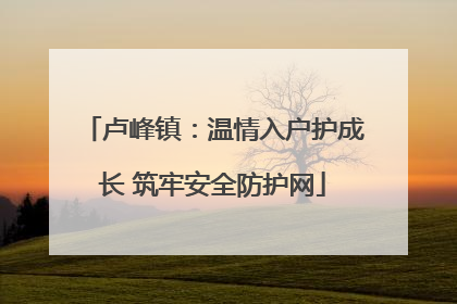 卢峰镇：温情入户护成长 筑牢安全防护网