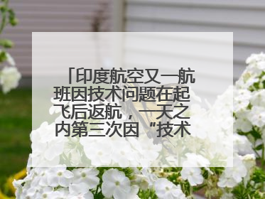 印度航空又一航班因技术问题在起飞后返航，一天之内第三次因“技术问题”返航