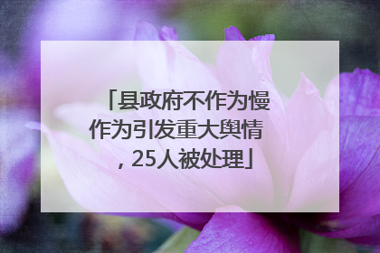 县政府不作为慢作为引发重大舆情，25人被处理