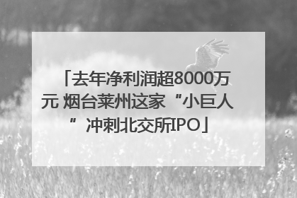 去年净利润超8000万元 烟台莱州这家“小巨人”冲刺北交所IPO