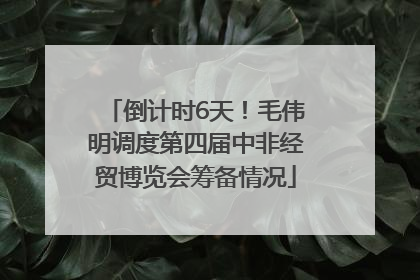 倒计时6天！毛伟明调度第四届中非经贸博览会筹备情况