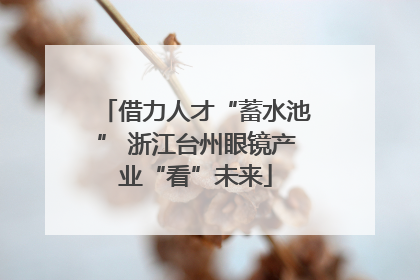 借力人才“蓄水池” 浙江台州眼镜产业“看”未来