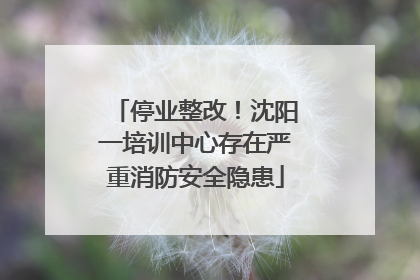 停业整改！沈阳一培训中心存在严重消防安全隐患