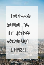 傅小林专题调研“两山”转化突破攻坚战推进情况
