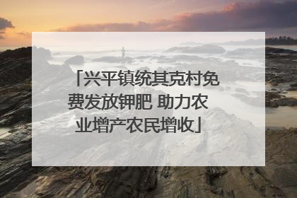 兴平镇统其克村免费发放钾肥 助力农业增产农民增收