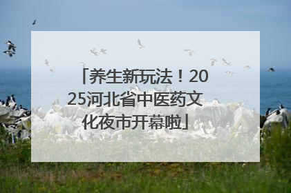 养生新玩法！2025河北省中医药文化夜市开幕啦