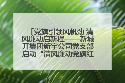 党旗引领风帆劲 清风廉动启新程——新城开集团新宇公司党支部启动“清风廉动党旗红”系列活动