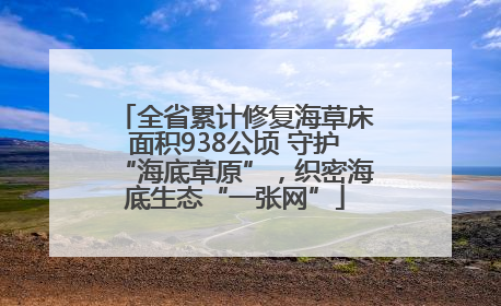 全省累计修复海草床面积938公顷 守护“海底草原”，织密海底生态“一张网”