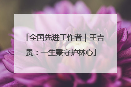 全国先进工作者｜王吉贵：一生秉守护林心