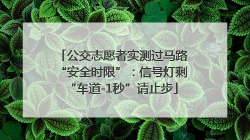 公交志愿者实测过马路“安全时限”：信号灯剩“车道-1秒”请止步