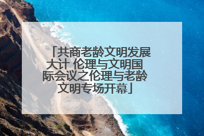 共商老龄文明发展大计 伦理与文明国际会议之伦理与老龄文明专场开幕