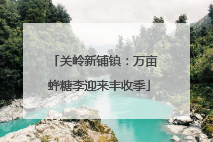 关岭新铺镇：万亩蜂糖李迎来丰收季
