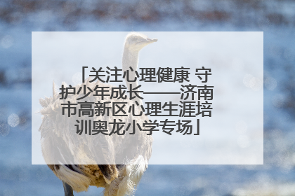 关注心理健康 守护少年成长——济南市高新区心理生涯培训奥龙小学专场