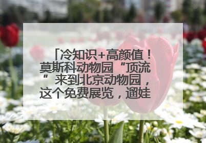 冷知识+高颜值！莫斯科动物园“顶流”来到北京动物园，这个免费展览，遛娃拍照两不误！