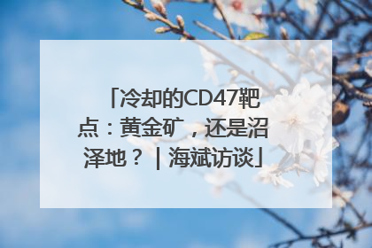 冷却的CD47靶点：黄金矿，还是沼泽地？｜海斌访谈
