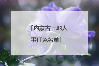 内蒙古一地人事任免名单