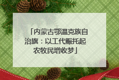 内蒙古鄂温克族自治旗：以工代赈托起农牧民增收梦