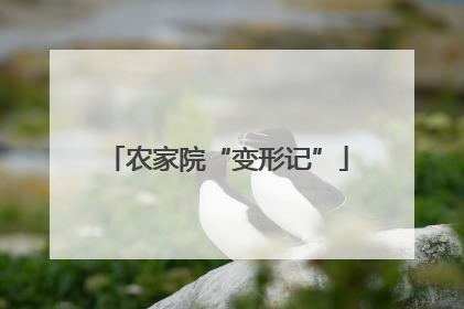农家院“变形记”