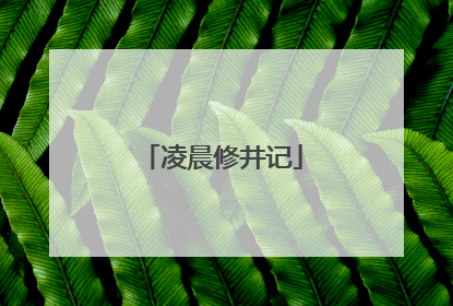 凌晨修井记