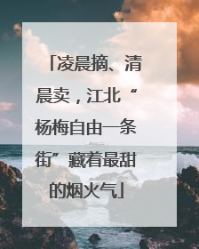 凌晨摘、清晨卖，江北“杨梅自由一条街”藏着最甜的烟火气