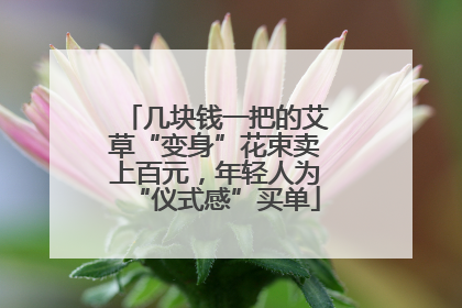 几块钱一把的艾草“变身”花束卖上百元，年轻人为“仪式感”买单