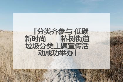 分类齐参与 低碳新时尚——椿树街道垃圾分类主题宣传活动成功举办
