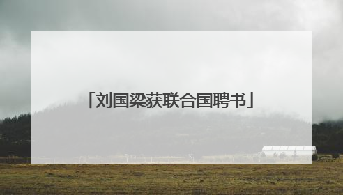 刘国梁获联合国聘书