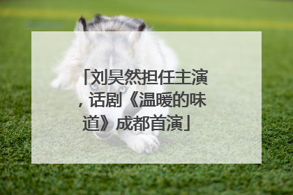 刘昊然担任主演，话剧《温暖的味道》成都首演